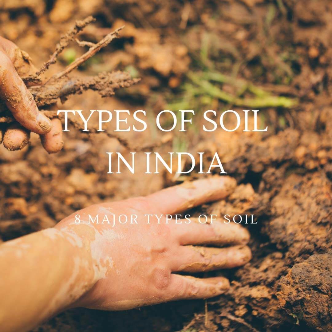 TYPES OF SOIL IN INDIA 