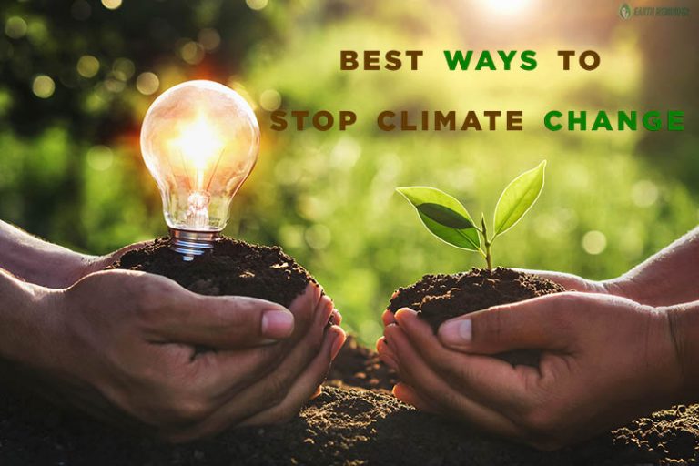 Best Ways to Stop Climate Change Earth Reminder