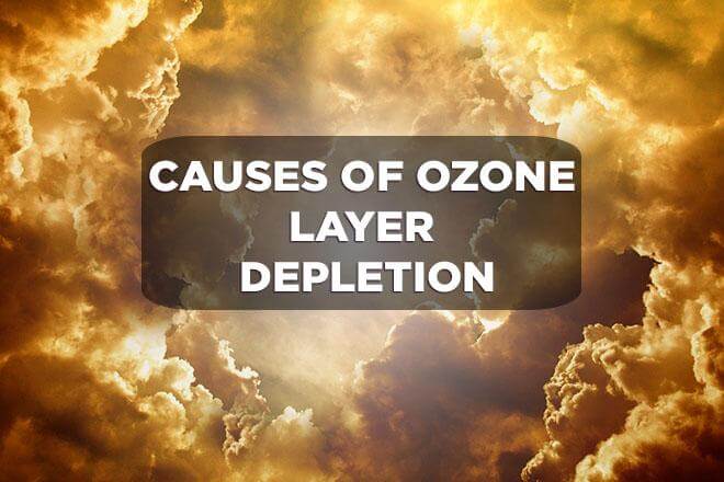 essay causes and effects of ozone depletion