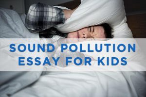 write an essay sound pollution