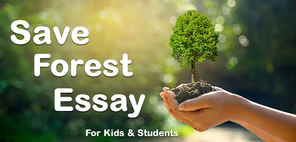need to preserve forest essay