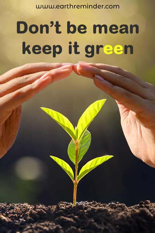 10 Slogan on Tree In English | Slogan on Tree | 10 Best Slogan On Save Tree  | Save Tree Slogan | - YouTube