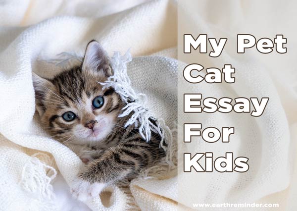 pet essay for child