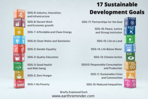 assignment of sustainable development