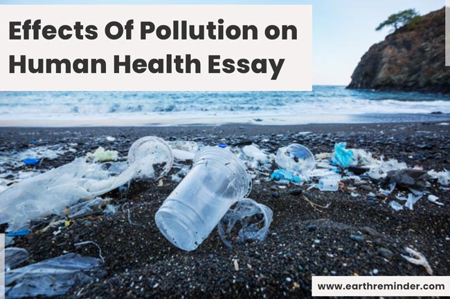write an essay on the harmful effects of pollution