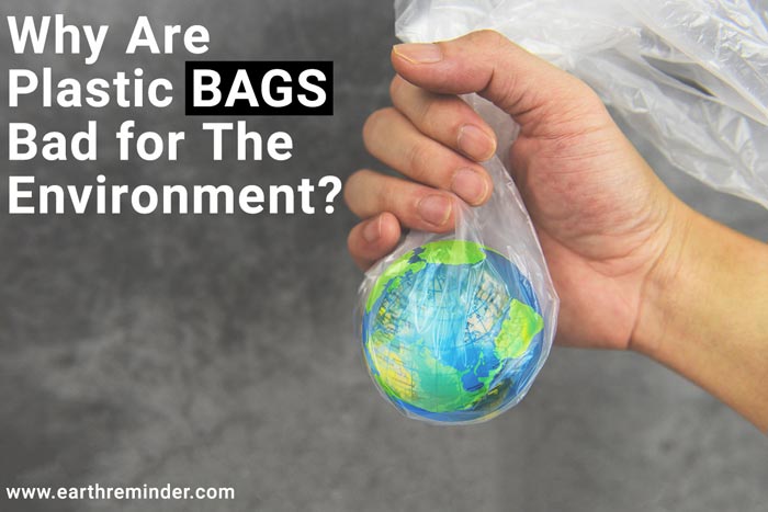7 Disturbing Ways Plastic Bags Impact The Environment