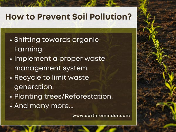 essay on prevention of soil pollution
