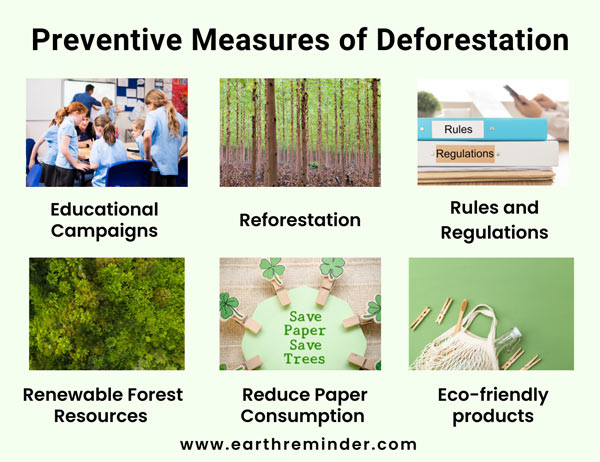 a conclusion for deforestation