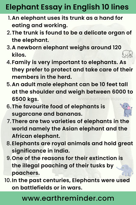 an essay on elephant in english