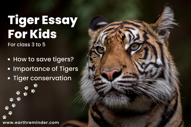 short essay on tiger