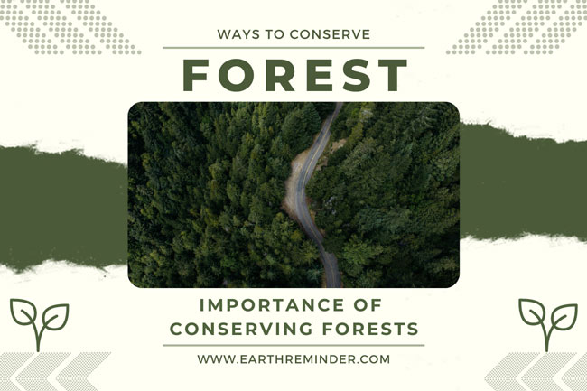 conservation of forest and wildlife