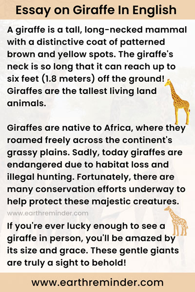 essay on giraffe for class 1
