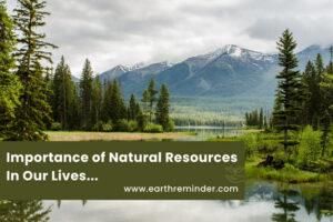 Importance of Natural Resources In Our Lives - Earth Reminder