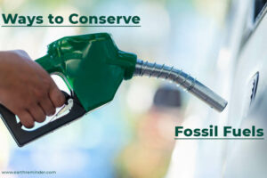 Ways to Conserve Fossil Fuels and Its Conservation | Earth Reminder