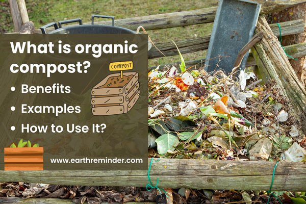 What Is Organic Compost? - Benefits, Examples, and How to Use It