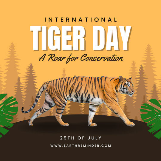 World Tiger Day History, Importance and Celebrations Earth Reminder